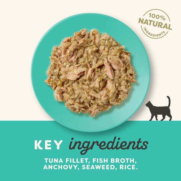 61Z2NC9ipYL._SL1000_.jpg Applaws Natural Premium Wet Cat Food for Adult Cats, Tuna Fillet with Whole Anchovy in Broth Pack of 4 x 70g Pouches