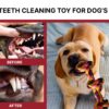 BOLTZ Cotton Rope Chew Toy for Dogs Large with 5 Chew Knots 25 Inch in Length