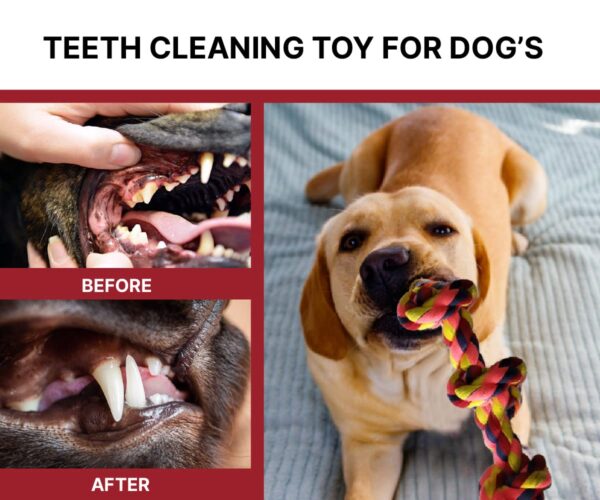 BOLTZ Cotton Rope Chew Toy for Dogs Large with 5 Chew Knots 25 Inch in Length