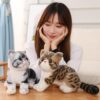 Tickles Cute Cat Soft Stuffed Plush Animal Toy for Kids Boys & Girls Birthday Gifts (Color: Grey Size: 20 cm)