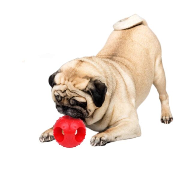 Goofy Tails 4 Rubber Chew Toy Combo for Dogs, Flavoured Bone, Hole Ball, Spike Ball and Trio Ring for Dog