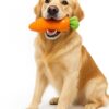 61aJxQd0XbL._SL1500_.jpg RvPaws Veggie Series Carrot Squeaky Chew Toys for Dogs & Puppies| Medium & Large Breeds (Orange)