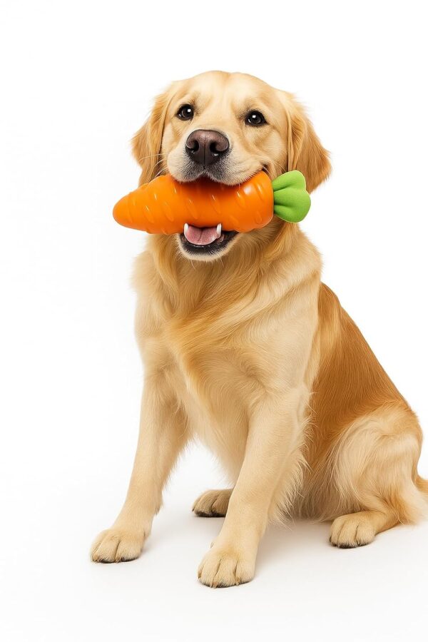 61aJxQd0XbL._SL1500_.jpg RvPaws Veggie Series Carrot Squeaky Chew Toys for Dogs & Puppies| Medium & Large Breeds (Orange)