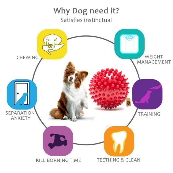 61aj5523MGL._SL1001_.jpg The Dogs Company The Pets Company Natural Rubber Spiked Ball Dog Chew Toy, Puppy Teething Toy, 3 Inches