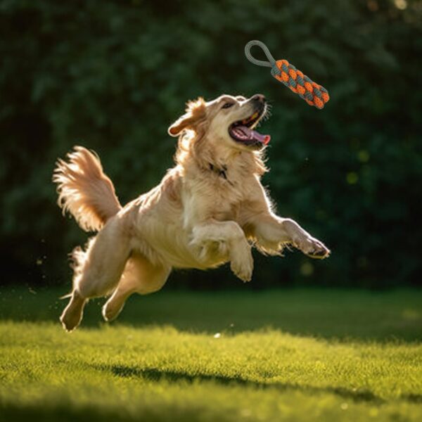 61bBM4frxCL._SL1500_.jpg PremiumAV Polymix Rope Chew Toys for Dogs Cotton & Polyester Durable Chew Toys, Ball, Bone, Fetch & Tug Toys for Interactive Dog Play