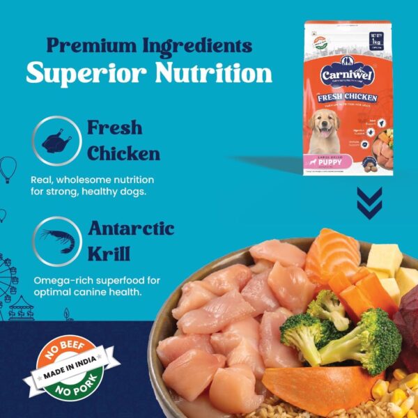 61bIz6L1t5L._SL1080_.jpg Fresh Chicken Puppy Dry Dog Food 1kg | Natural Ingredients for Healthy Skin & Coat | Highly Palatable | Supports Brain & Muscle Development | Tailored, Premium Nutrition for Large Dogs