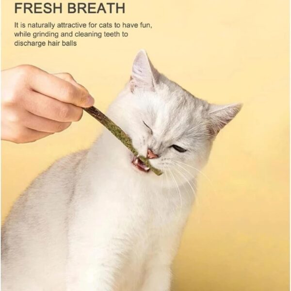 cature Care by Nature Cat Chew Sticks - Natural Catnip Toys With Mint Stick For Cat Teeth Cleaning & Playful Entertainment