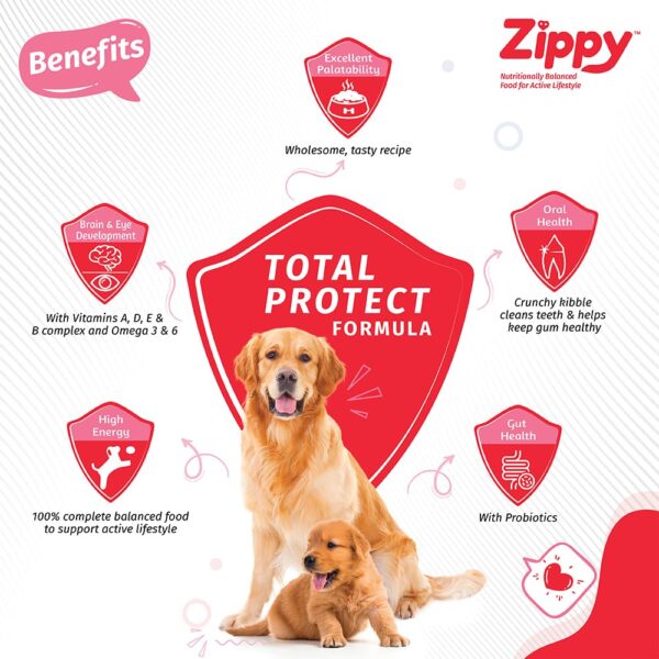 Zippy Starter Dry Dog Food - 1.2 Kg for Pregnant Mother & Weaning Puppy, Real Chicken & Vegetables, Nutritionally Balanced Dog Food for All Breeds, with Vitamins, Minerals, Probiotics & Salmon Oil