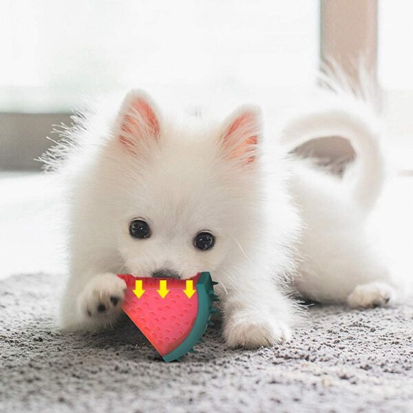 61bjzHWakpS._SL1050_.jpg PSK PET MART Dog Chew Toy Sound Cute Interactive Fruit Funny Chewable Realistic Cat Bite Toy for Puppies TPR Lemon + Pineapple + Watermelon