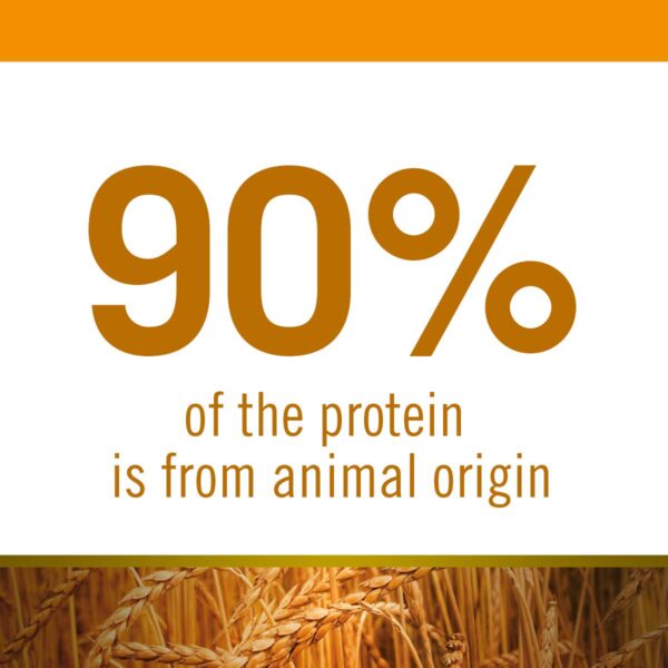 Farmina N&D Ancestral Grain Adult Mini Dog Food | Chicken, Spelt, Oats & Pomegranate | No Artificial Preservatives|Complete Nutrition for Adult Dogs | 0.8kg