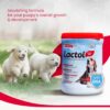 61dAxGU8OL._SL1080_.jpg Beaphar Lactol Newborn Puppy Dog Milk Food with DHA, Vitamins & Minerals, Puppy Milk Replacer, Free Lactol Feeding Set - 400g