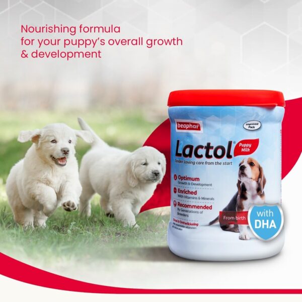 61dAxGU8OL._SL1080_.jpg Beaphar Lactol Newborn Puppy Dog Milk Food with DHA, Vitamins & Minerals, Puppy Milk Replacer, Free Lactol Feeding Set - 400g