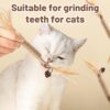 Cat Toys, 4Pcs Cat Chew Toy, Cat Playing Toys for Indoor, Stick for Cats with Sisal Rope and Gall Fruit, Natural Catnip Alternative