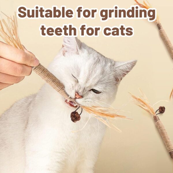 Cat Toys, 4Pcs Cat Chew Toy, Cat Playing Toys for Indoor, Stick for Cats with Sisal Rope and Gall Fruit, Natural Catnip Alternative