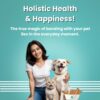 61e59zniefL._SL1000_.jpg BARK OUT LOUD - Multivitamin Dog Treats, Fresh Chicken Immunity Chewstix with Omega & Zinc to Boost Health & Vitality for Dogs & Cats of All Life Stages - 100gm Each (Pack of 3)