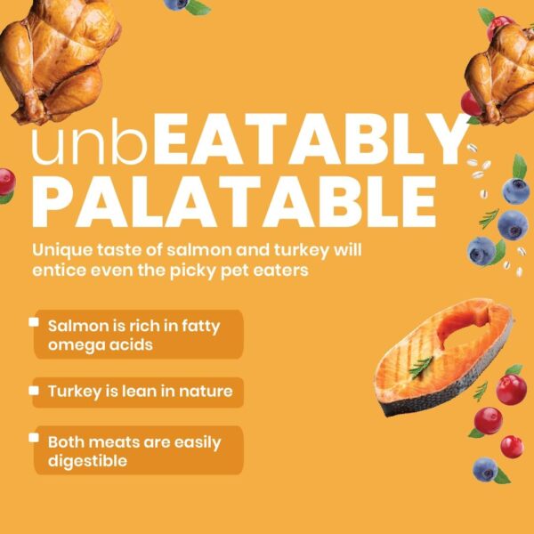 61eDsqQ8aHL._SL1080_.jpg Bark Out Loud by Vivaldis Adult Dry Dog Food Combo- Naked Oats and Veggies, Salmon and Turkey, and Chicken & Ancient Grain - Rich in Protein, Pet Nutrition with Nutrients and Herbs (100 gm, Pack of 3)
