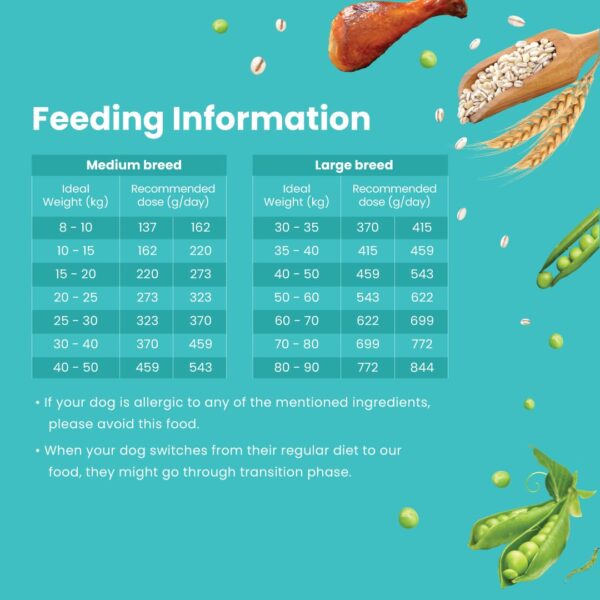61evAuK0v9L._SL1080_.jpg Bark Out Loud Adult Dry Dog Food, Chicken & Ancient Grains | Low Grain Dry Dog Food for Medium & Large Breeds | High Protein Kibbles with Prebiotics, Super Herbs, Antioxidants & Fibre 2 kg