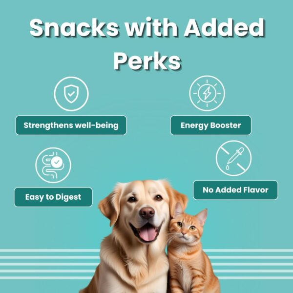 61fNcAcZhL._SL1500_.jpg BARK OUT LOUD - Multivitamin Dog Treats, Fresh Chicken Immunity Chewstix with Omega & Zinc to Boost Health & Vitality for Dogs & Cats of All Life Stages - 100gm Each (Pack of 3)