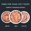 Meowsi by HUFT Tuna & Shrimp Pate Wet Cat Food - 80 gm | Pack of 6 | Delicious & Creamy Food for Persian & All Breeds | Rich in Omega-3, Essential Nutrients & Hydration for Optimal Health