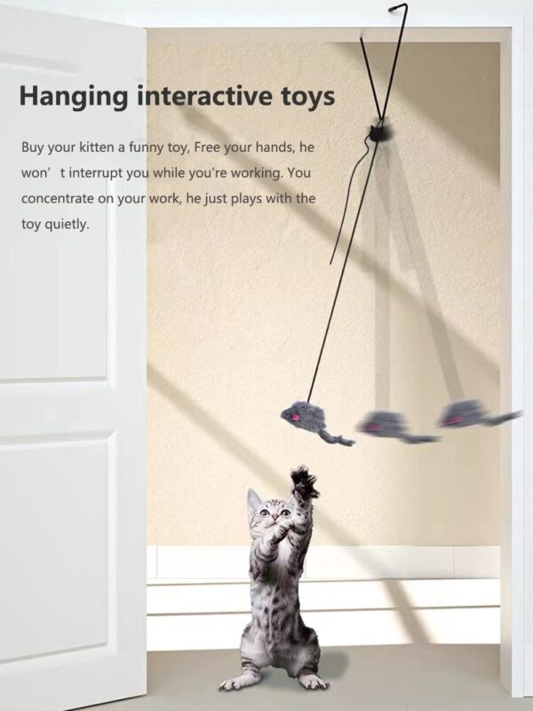 61g7J5GRmaL._SL1335_.jpg Qpets® Cat Teaser Toys, Cat Feather Toys, Hanging Cat Toys for Indoor Cats Interactive Elastic Rope, Cat Toys for Persian Cat Soft Toy with Plushed Mice Pendent
