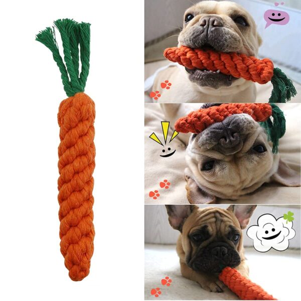Dog Toy Set - Tail, Chew, Puppy Teething, Rope, Squeaky Toys for Small to Medium Dogs (Pack of 6)