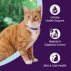 61gqfkXpivL._SL1200_.jpg Adult Dry Cat Food | Chicken & Rice | 1.2 kg Ingredients |40% Reduction in Urinary Track Diseases |Anti Hairball Formula |Healthy Skin & Coat |Improves Digestive Health