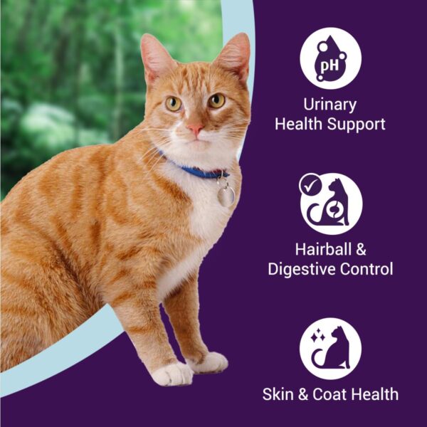 61gqfkXpivL._SL1200_.jpg Adult Dry Cat Food | Chicken & Rice | 1.2 kg Ingredients |40% Reduction in Urinary Track Diseases |Anti Hairball Formula |Healthy Skin & Coat |Improves Digestive Health