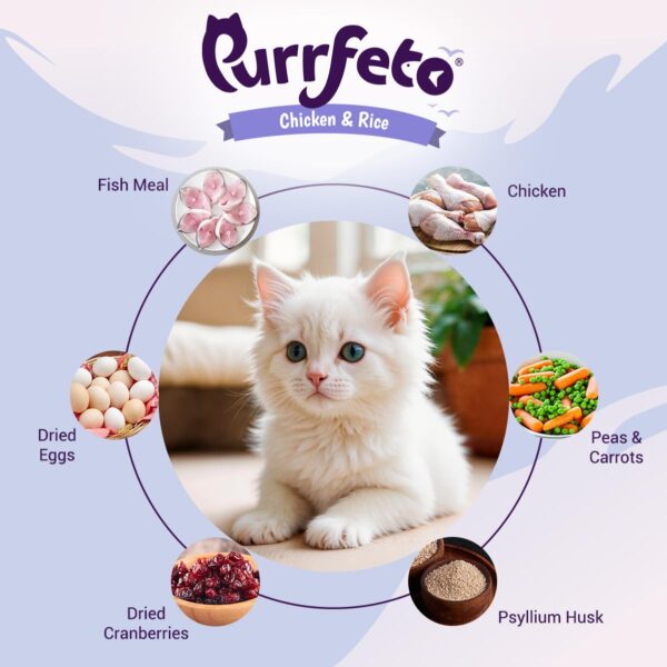 Kitten Dry Cat Food | Chicken & Rice | 1.2 kg |40% Reduction in Urinary Tract Diseases | Promotes Brain & Vision Development | Enhances Immunity |Improves Digestive Health