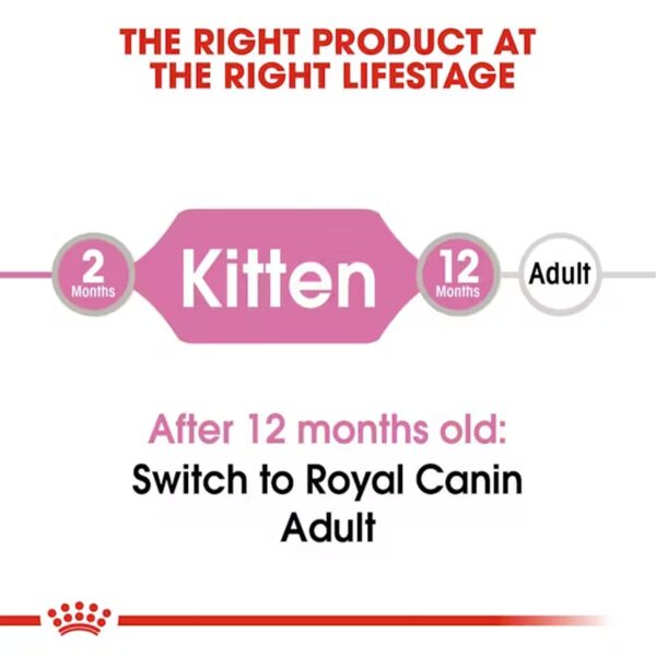 61hVoNRimPL._SL1500_.jpg Royal Canin Instinctive Kitten Food, 85 Grams, Pack of 12 Sachet, Wet Food, Supports Strong Immune System, Indistinctively Preferred
