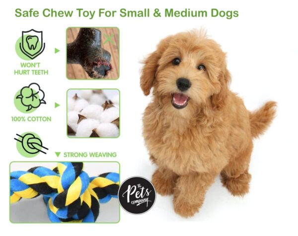 The Pets Company Natural Ring Dog Rope Toy for Puppy Teething, Rope Dog Toys for Small Dogs & Puppies