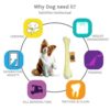61hoR3XjM5L._SL1001_.jpg The Dogs Company Plastic Dog Bone Chew Toy, Puppy Teething Toy, 7 inches