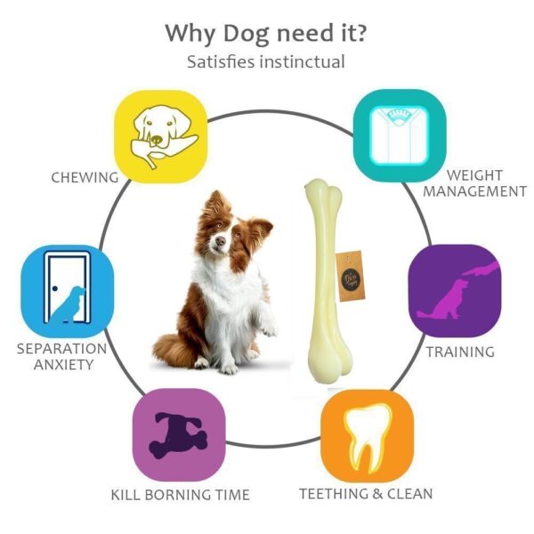 61hoR3XjM5L._SL1001_.jpg The Dogs Company Plastic Dog Bone Chew Toy, Puppy Teething Toy, 7 inches