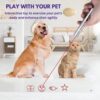 61iJMeRZBnL._SL1000_.jpg USB Rechargeable Cat Laser Toy – 7-in-1 Interactive Laser Light Pointer – Multi-Pattern Lazer Lights for Cats – Cat Toys Play – Powerful Stimulation Toy with UV Light & Flashlight