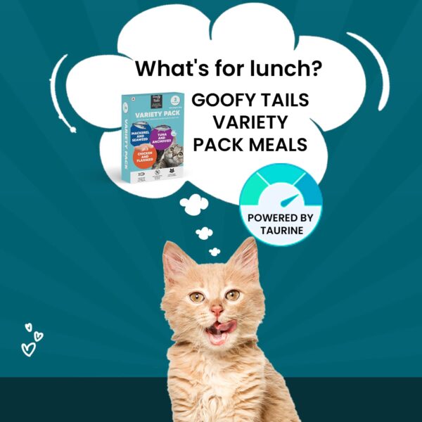 61jNB3knuiL._SL1500_.jpg Goofy Tails Wet Cat Food and Kitten Food Variety Pack 210g (70g X 3 Pouches), Tuna and Anchovies, Mackerel and Seaweed, Chicken and Flaxseeds, Preservative Free, Wholesome, Natural Cat Wet Food
