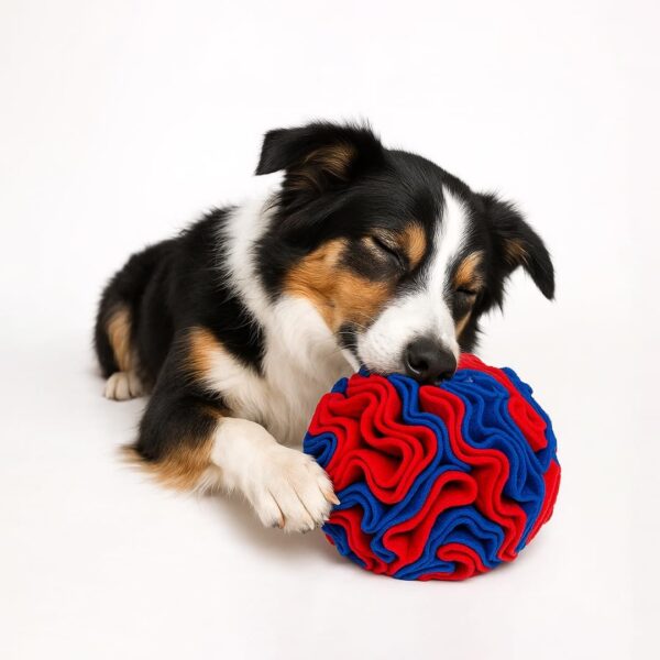 61jUvit3AjL._SL1080_.jpg The Pets Company Snuggle Snuffle Dog Feeder Ball – Interactive Puzzle Toy for Dogs, Mental Stimulation, Anxiety Relief, Slow Feeding, Machine Washable, Treat Dispenser, Multicolor - 6 Inches