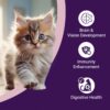 Kitten Dry Cat Food | Chicken & Ocean Fish | 1.2 kg | 40% Reduction in Urinary Track Diseases |Promotes Brain & Vision Development | Enhances Immunity | Improves Digestive Health