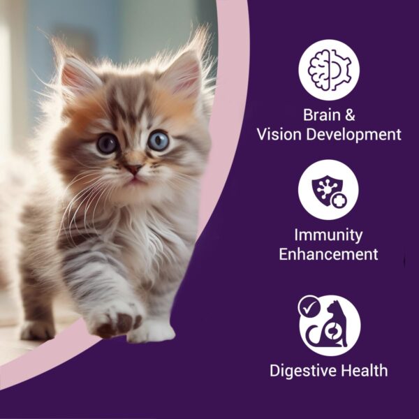 Kitten Dry Cat Food | Chicken & Ocean Fish | 1.2 kg | 40% Reduction in Urinary Track Diseases |Promotes Brain & Vision Development | Enhances Immunity | Improves Digestive Health