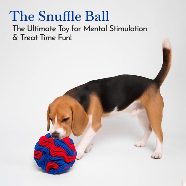 61kbxLBUmjL._SL1080_.jpg PETS EMPIRE Dog Snuffle Ball Toy – Slow Feeder Ball for Dogs, Nosework Enrichment Toy for Mental Stimulation, Anxiety Relief & Training