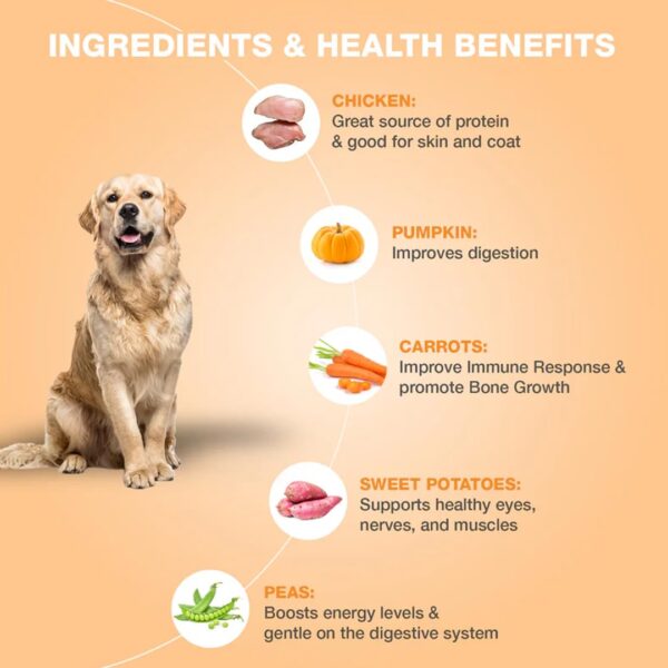 61krK85xfL._SL1080_.jpg Benny's Bowl Fresh & Wet Dog Food - Chicken & Pumpkin - 5 Packs x 100 G | Grain Free,All Life Stages