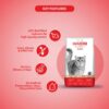 61l3WSx38zL._SL1000_.jpg Grain Zero Adult Dry Cat Food 1.2kg + 75g Creamy Treat (Free) | Salmon | 48% Fresh Fish Inclusion, No Grain Formula, No Gluten | Promotes Healthy Skin & Coat | All Breeds