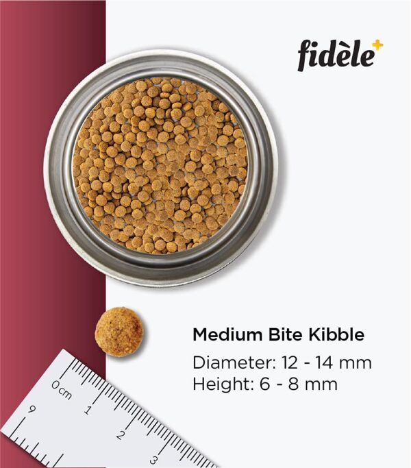 Fidele+ Dry Dog Food 1 Kg Senior & Overweight Dogs Complete & Balanced Diet Supports Weight Control, Joints & Immunity No Artificial Flavours, Preservatives