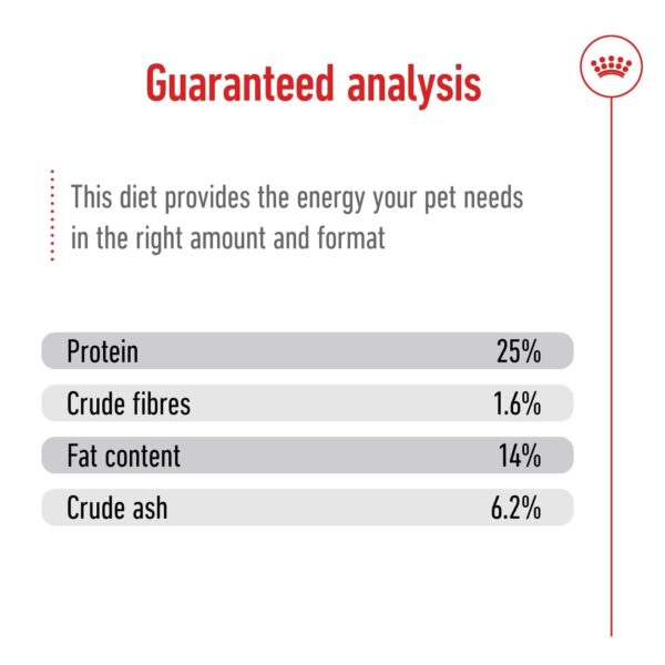 61lrNcXv3DL._SL1320_.jpg Royal Canin Medium Adult Dog Food, 1 Kg, Dry Food, Provides Muscle Mass, Supports Complex Natural Defense & Optimal Health Support