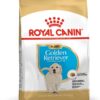 Royal Canin Golden Retriver Puppy Food, 3 Kg, Dry Food, Helps with Healthy Skin & Coat, Supports Immune System & Digestive Health