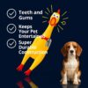 Western Era Squeaky Chicken Dog Toy 32CM | Rubber Rooster Shaped Interactive Chew Toy for Dogs & Puppies | Built-in Squeaker for Fetch & Training | Textured Surface for Teeth Cleaning | Funny Dog Toy