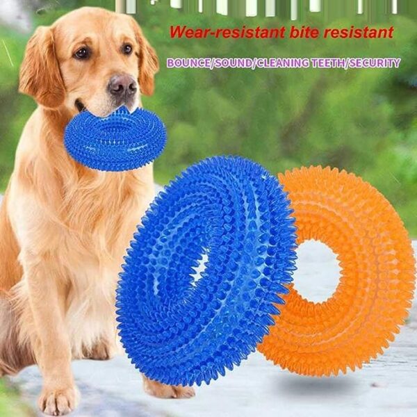 61nCnKO2sYL.jpg Dog Trust Durable Natural Rubber Hard Spiked Ring Shape Chew Toy Ideal for Teeth Cleaning and Chewing Dogs & Puppies (Multicolor) for Aggressive Chewer