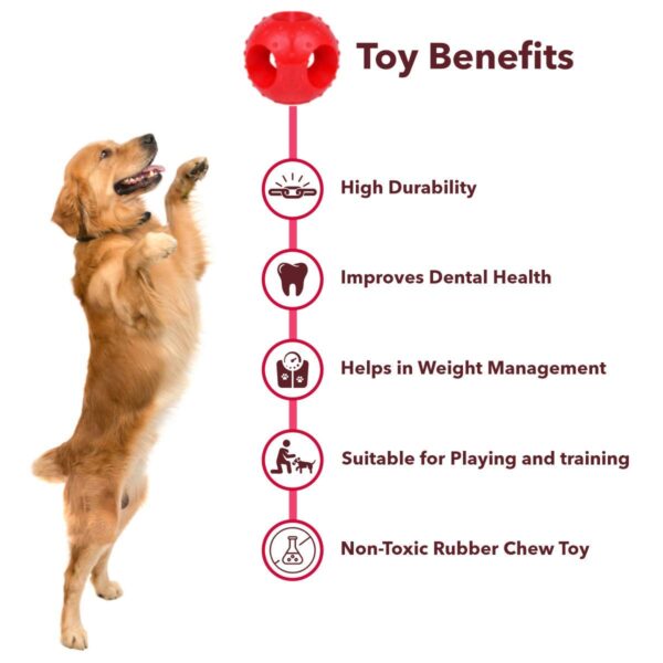 Meat Up Non-Toxic Rubber Hole Ball Toy, Puppy/Dog Teething Toy - 7.62 cm Pack