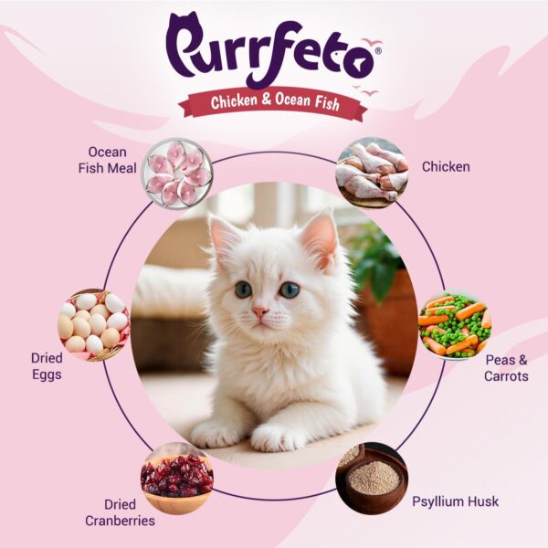 Kitten Dry Cat Food | Chicken & Ocean Fish | 1.2 kg | 40% Reduction in Urinary Track Diseases |Promotes Brain & Vision Development | Enhances Immunity | Improves Digestive Health