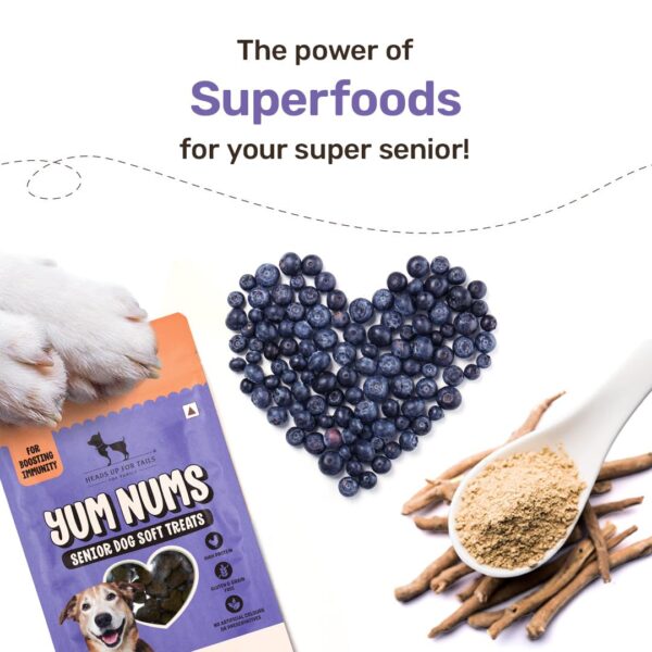 Heads Up For Tails Yum Nums Chicken,Blueberries & Ashwagandha Soft Treat for Senior Dog|High in Proteins|Gluten & Grain Free|Salt & Sugar Free|No Artificial Colours|Farm-Fresh - 70 Gm,Tablet