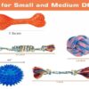 61p5zIZjaXL._SL1434_.jpg Dog Rope Toys + Chew Toys, Combo Pack of 7 (Color May Vary)