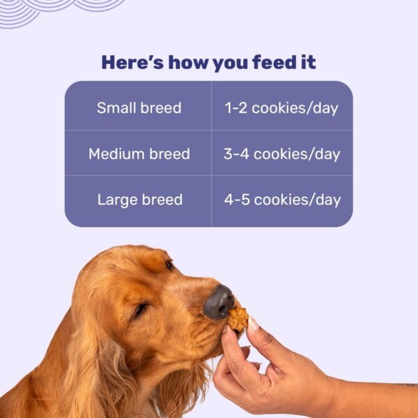 Heads Up For Tails HUFT Adult Goat Milk Dog Cookies - Blueberry | Premium Dog Biscuits for Puppies, Pomeranians & Adult Dogs | Veg Dog Treats for Training, Snacking & All Breeds - 200 gm